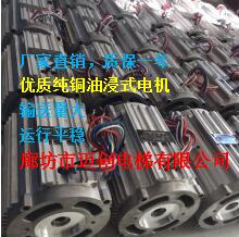 厂家直销2.2KW油浸式电机