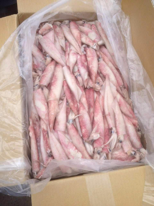 进口鸡边腿清关报关