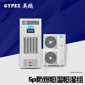 车间5p防爆恒温恒湿组