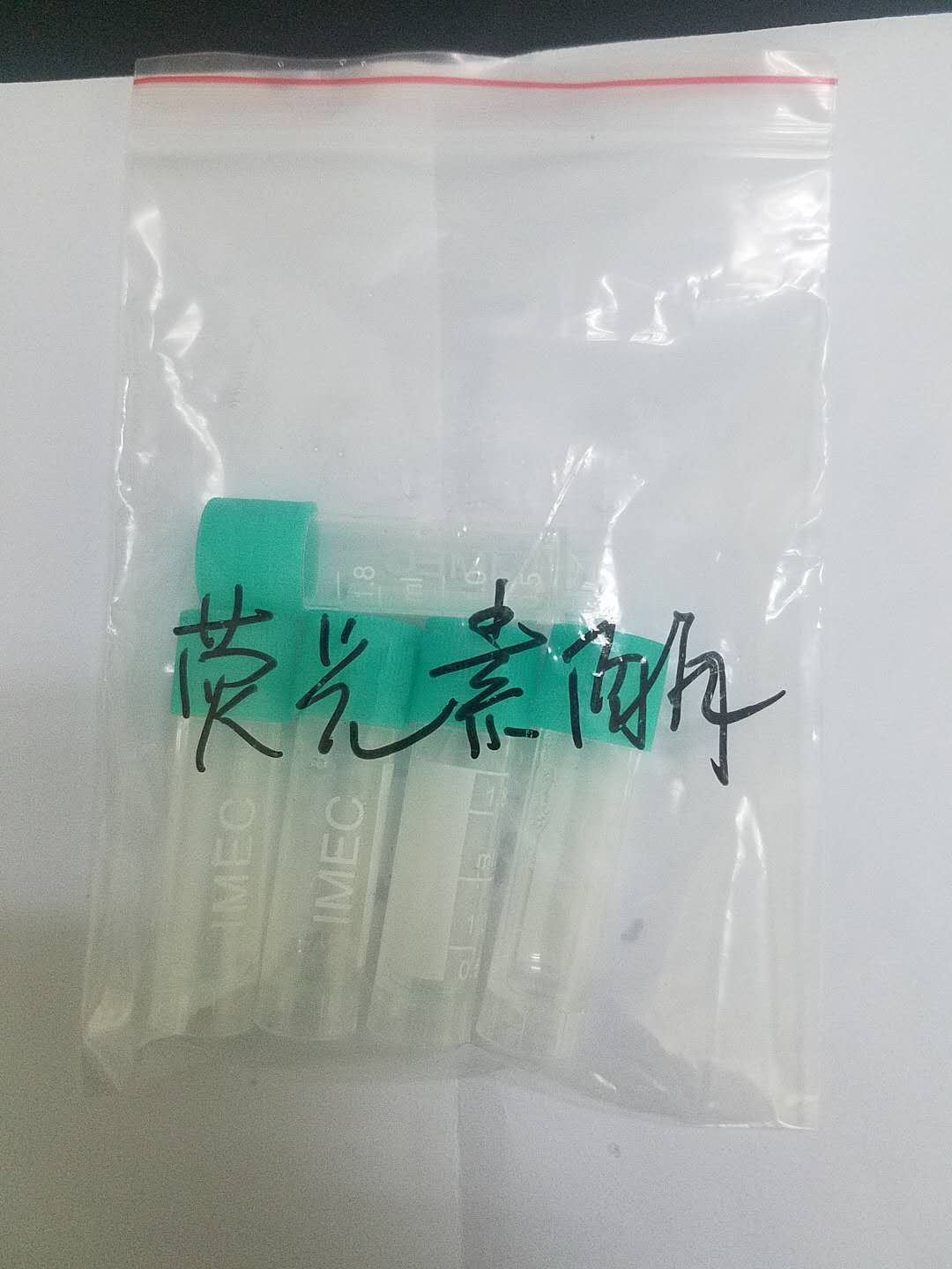 荧光素酶厂家现货供应