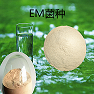 EM菌 批发零售 水产养殖 农业 微生物菌剂EM菌粉
