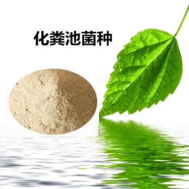 化粪池处理菌种 减少化粪池恶臭排泄物污染分解有机物 除臭味