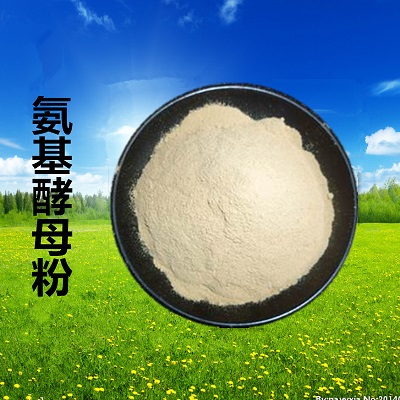氨基酵母粉 酵母蛋白 含B族维生素 补充蛋白