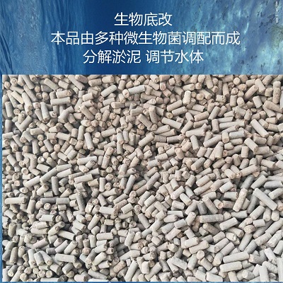 染废水、垃圾渗滤液等废水处理