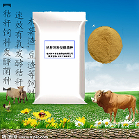 秸秆饲料发酵菌种200亿 厂家供应 有氧发酵秸杆木薯渣豆渣等饲料