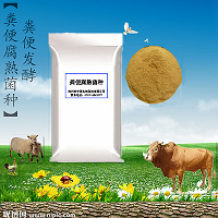 粪便腐熟菌种 厂家 微生物菌剂 饲料发酵 粪便发酵