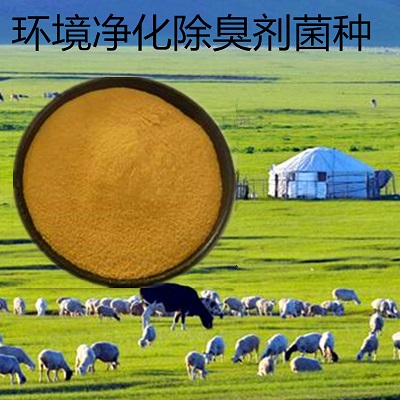 环境净化除臭剂菌粉 适用于容易产生臭气的场所 减少臭味