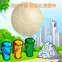 垃圾处理菌种200亿 高温菌剂发酵菌 发酵垃圾