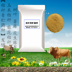 秸秆青贮菌种 发酵青秸秆 饲草 薯藤 厂家供应 微生物菌剂