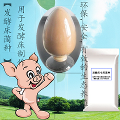 发酵床菌种有益微生物组成的复合菌群用于发酵床干净 卫生