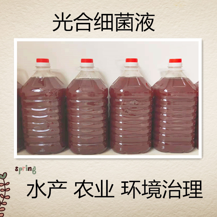 光合细菌液 光合细菌 光合细菌 沼泽红甲单胞菌 养水 调水