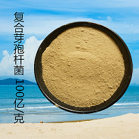 复合芽孢杆菌 100亿 各种芽孢杆菌 调节水质 厂家