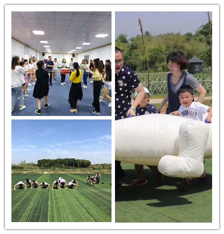 武汉员工团建的农家乐选择乐农拓展项目五花八门给你全新的体验