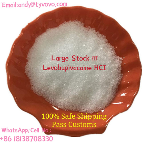 China Top Manufacturer High Purity LevobupivacaineHCL Powder
