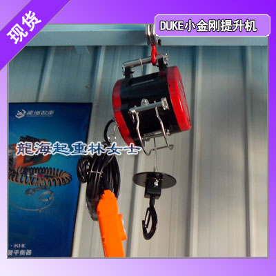 DU-160A小金刚提升机载荷160kg扬程28m