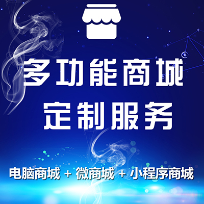 网站建设企业多功能商城定制服务