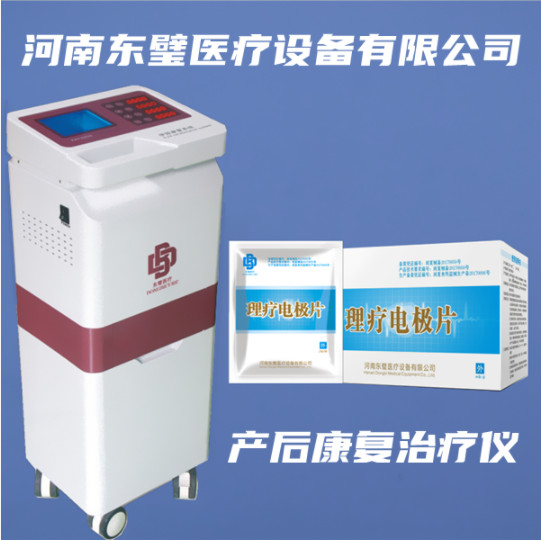 一种盆底康复治疗仪