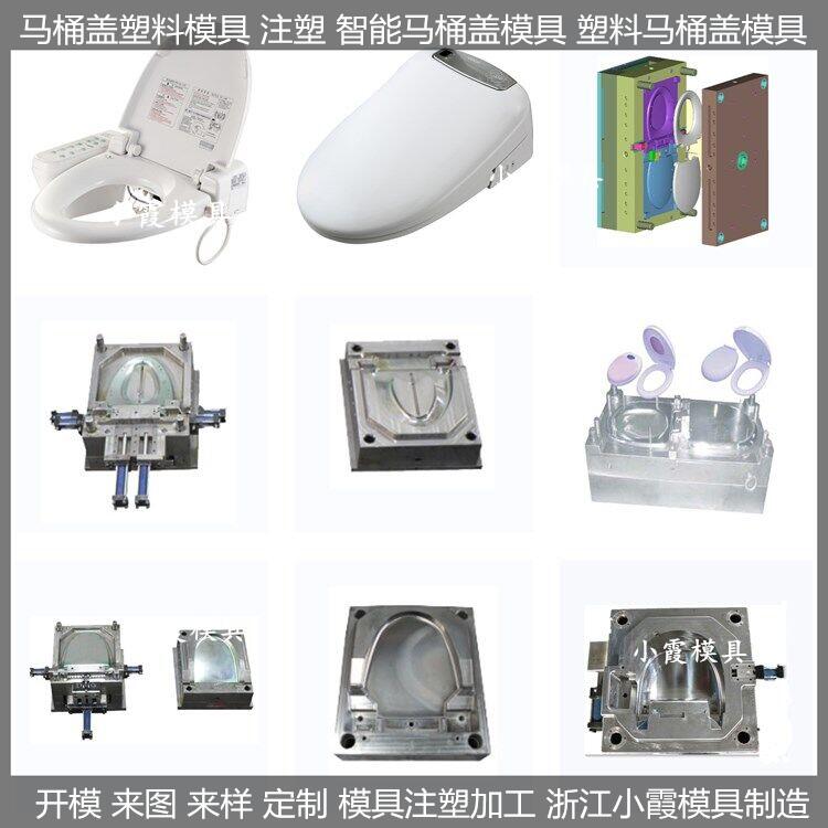 塑料模具小霞模具马桶盖注塑模具