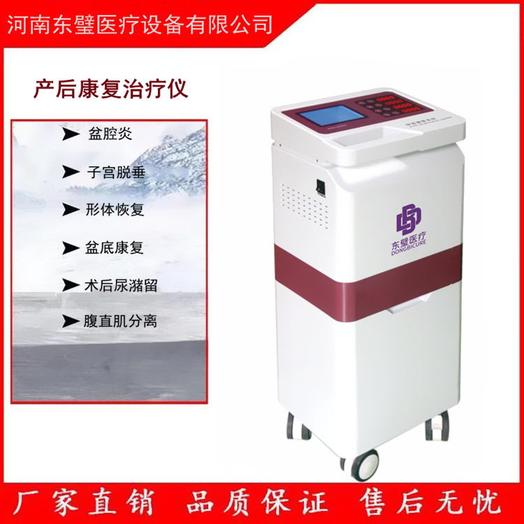产后修复治疗仪 理疗电极片 东璧医疗设备