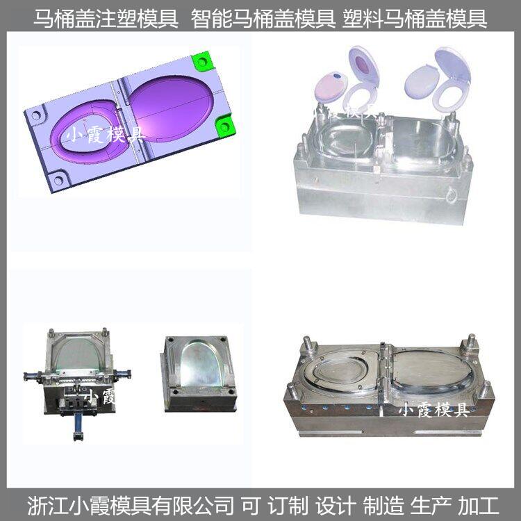 做塑料塑胶注塑智能塑料马桶盖塑料模具
