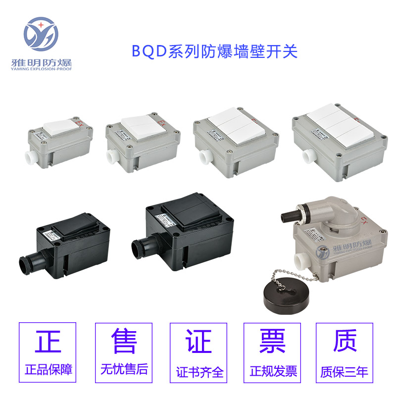 BQM-10A220V250V86型单联双联三联防爆开关