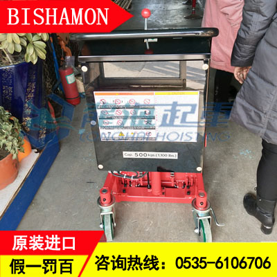 LV50NSS手动刹车升降机,可非标定制手动刹车升降机价格