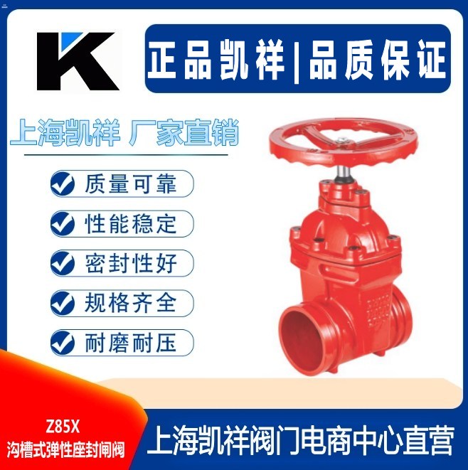 Z81X沟槽式弹性座封闸阀 Z85X沟槽式弹性座封闸阀