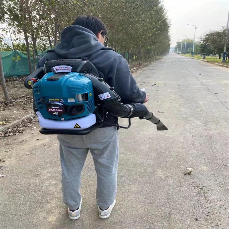 吹雪树叶清草机 背负式马路吹风机 便携式吹风机 路面吹风机