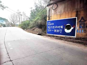 遂宁美丽乡村墙绘协助遂宁墙壁涂鸦用心每面墙