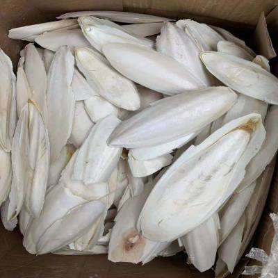 天津海螵蛸进口清关代理