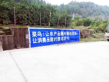 云南墙体写大字广告服务,云南新农村墙体标语服务