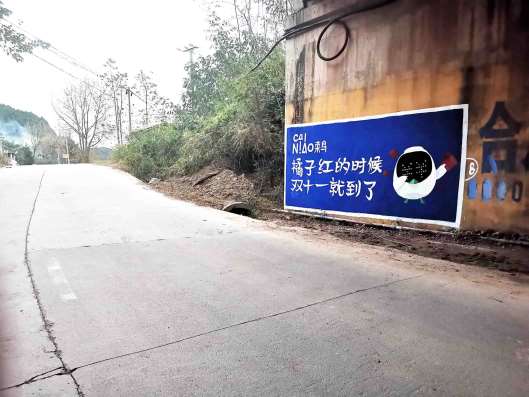 广西墙体喷绘广告 广西机喷墙面彩绘 广西乡村振兴标语