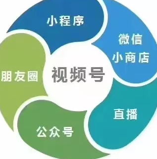 金小指互联网工作室项目值得考虑吗