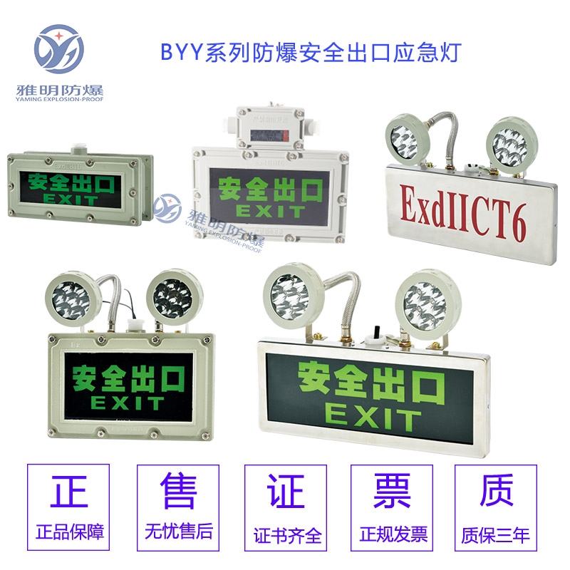 BYY-2W220VIP55ExdIIBT4/ExdIICT4防爆安全出口