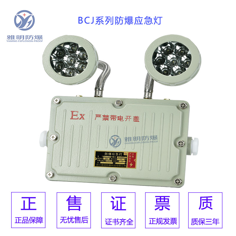 BCJ52-2×5WExdIICT6IP65≥90min防爆双头应急灯