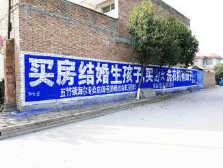 哈尔滨墙体工笔画广告,哈尔滨农村墙体广告贴近销售终端