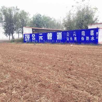 哈尔滨墙体工笔画广告,哈尔滨墙体户外广告服务周到