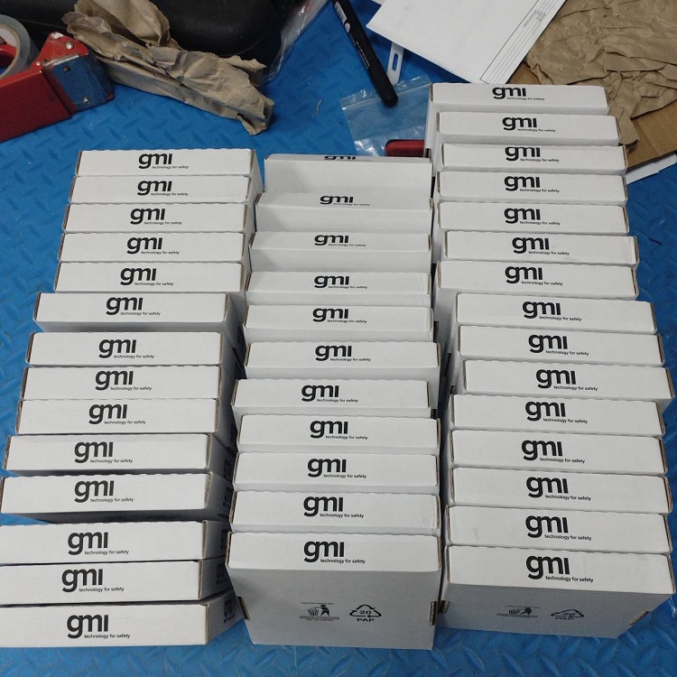 GMI，GMI安全栅