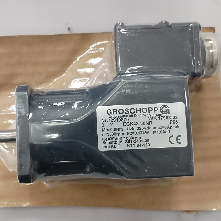 GROSCHOPP，GROSCHOPP电机EGK48-30NR
