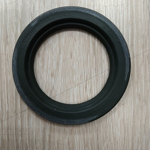 Garlock，Garlock密封24602-1187