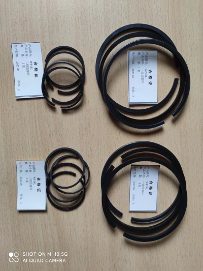 WP25L WP18L WP32L 南京船用压缩机活塞环