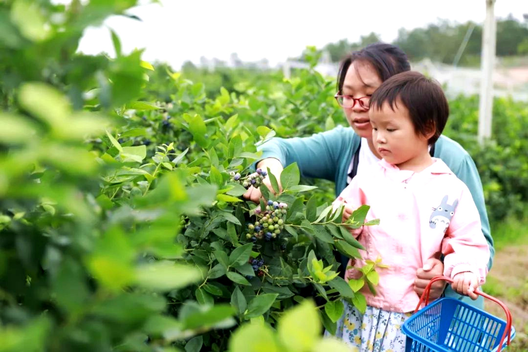 b38227a9f6664a24b7b9883b17a21d92_副本.jpg