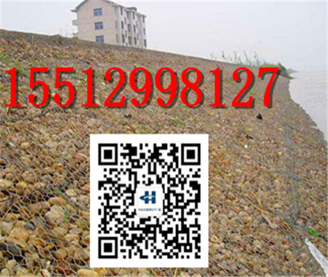 80251491559880.jpg