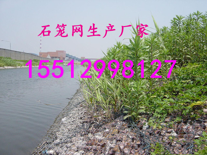 fslnhd05.jpg