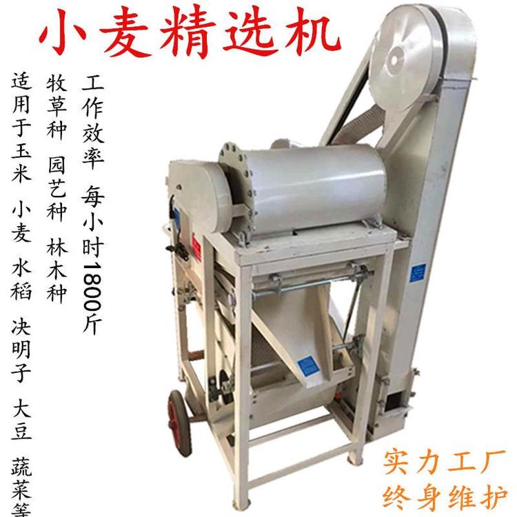 小麦精选机 (3).jpg