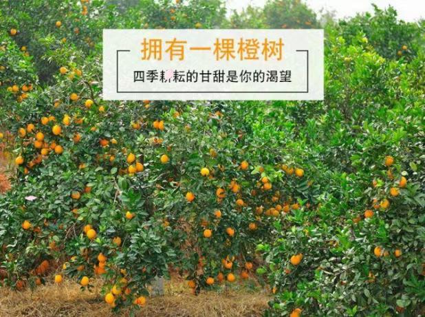 WeChat 圖片_20200921081058.jpg