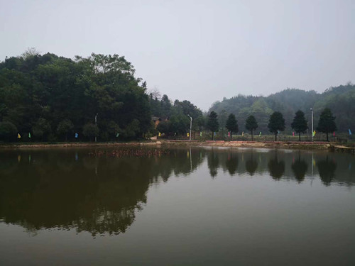 微信图片_20201015085353.jpg