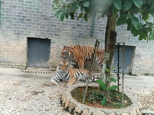 微信图片_20210104133712.jpg