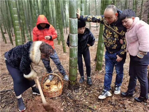 微信图片_20210302194837.jpg