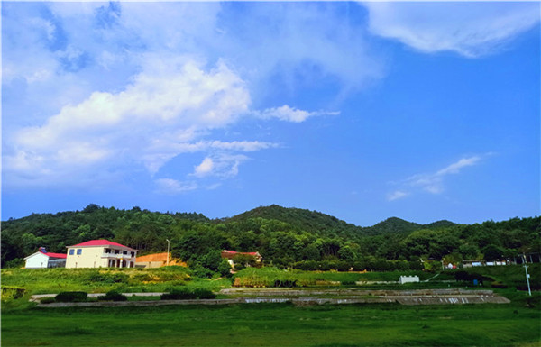微信图片_20200803165608_wps图片.jpg